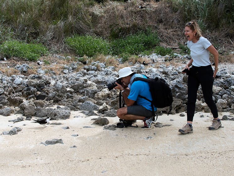 Lord Howe Island Nature Tours