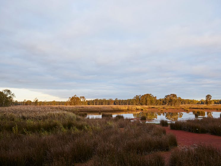 Reed Beds Bird Hide