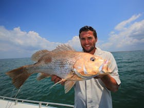 Cobourg Golden Snapper