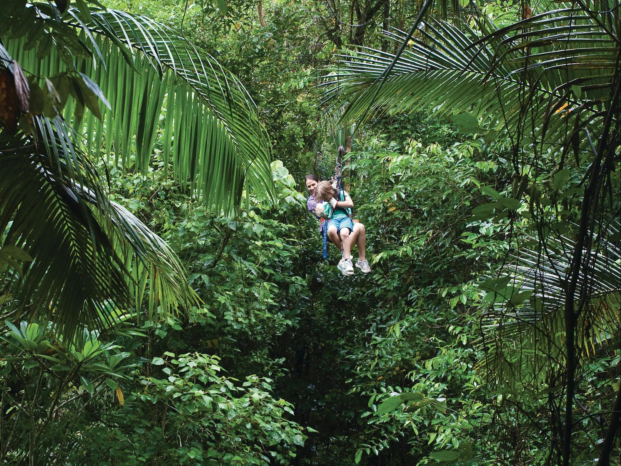 Zip line through the rainforest