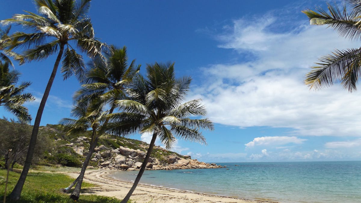 Palm trees and rocky outcrop at a sandy beach