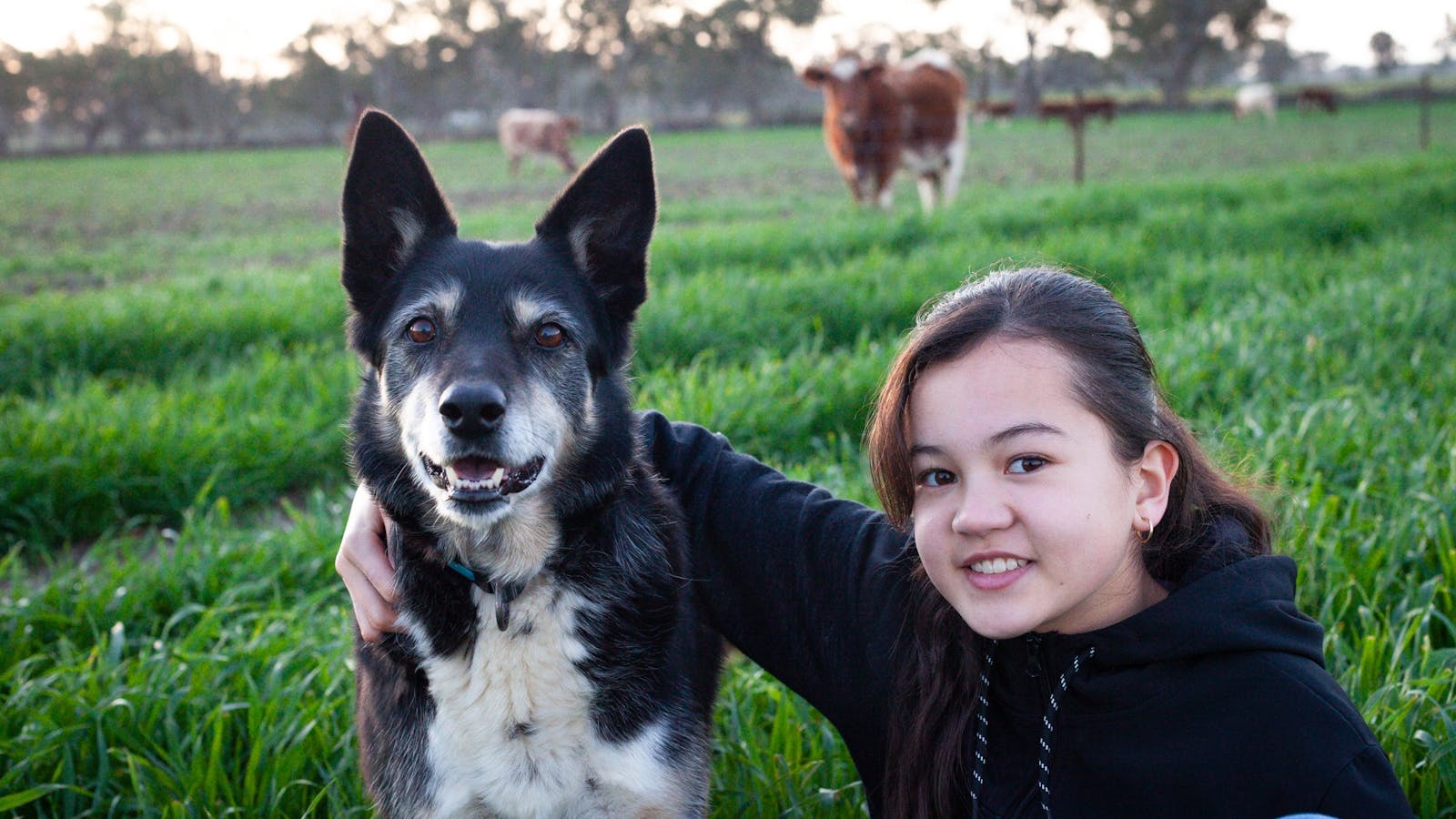 Image for Eden Farm Multicultural Festival