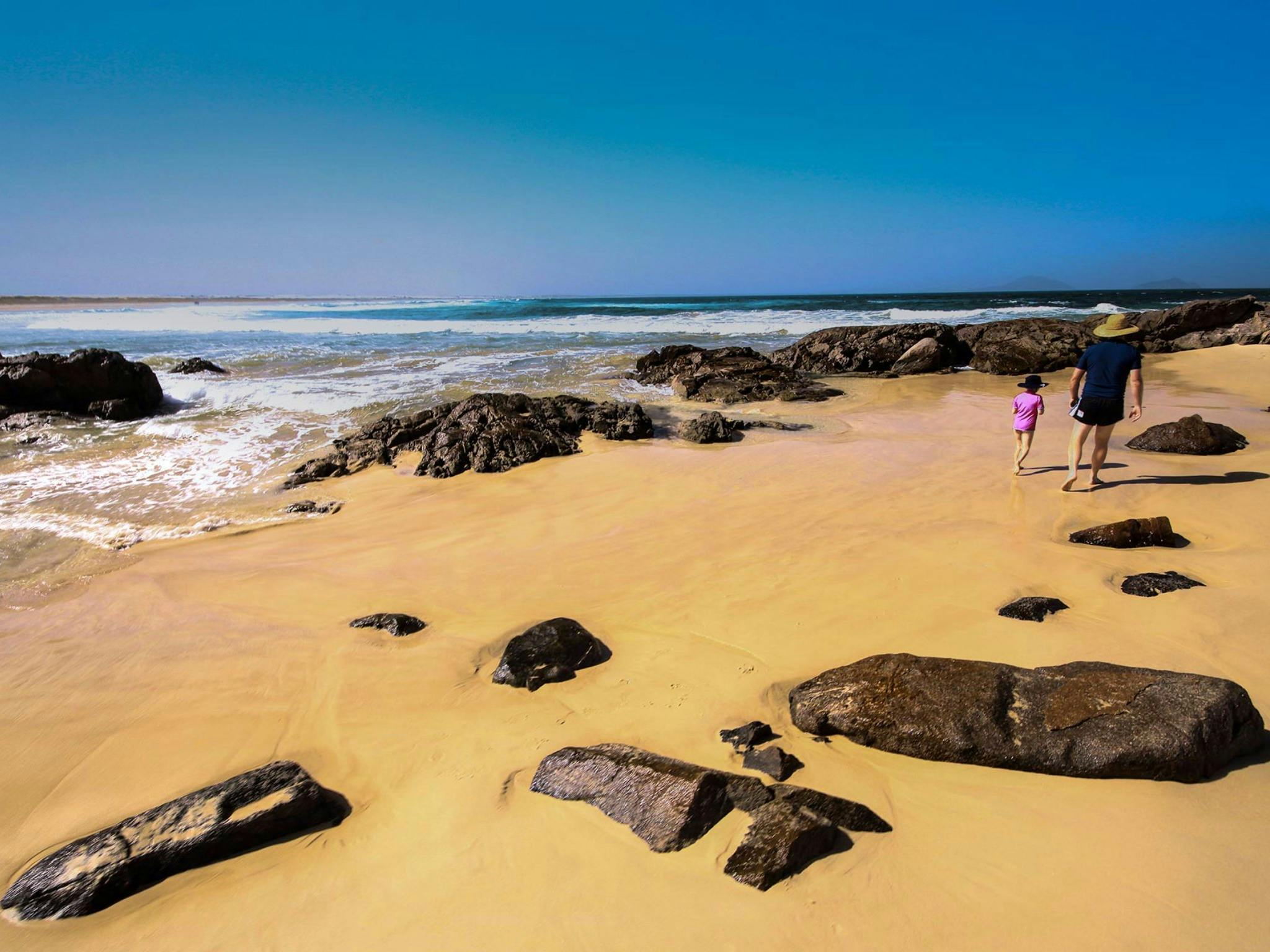 Dark Point, Myall Lakes National Park. Photo: Jodie Chalker/NSW Government