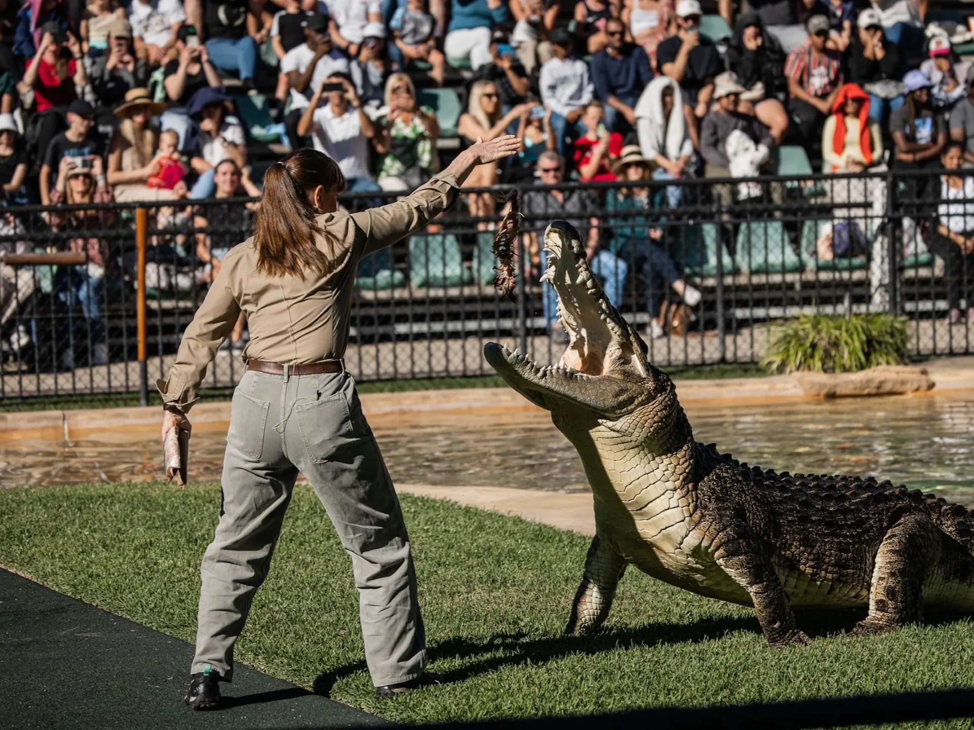 Terri Irwin feeding a crocodile