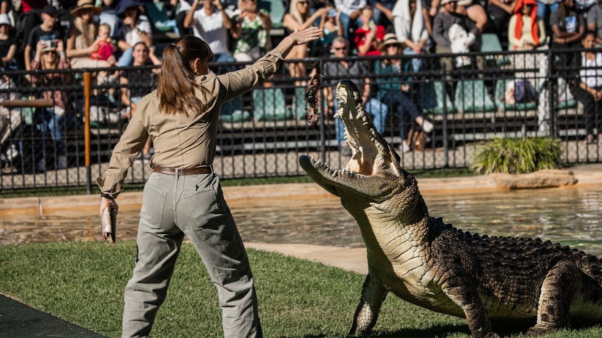Terri Irwin feeding a crocodile
