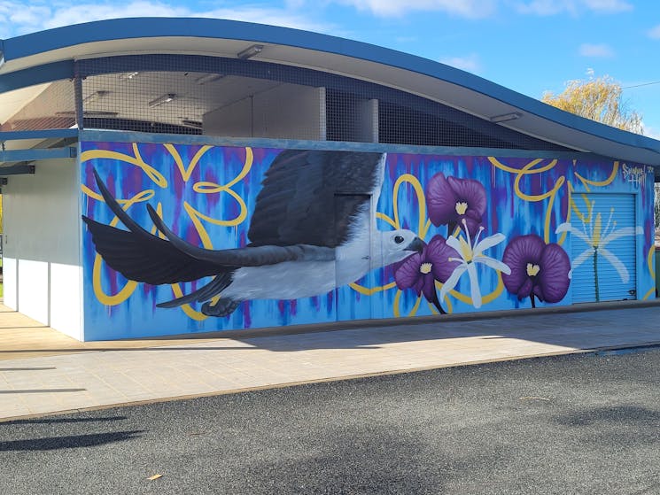 spray can mural of white bellied sea eagle flying on a blue back ground with purple and yellow flo