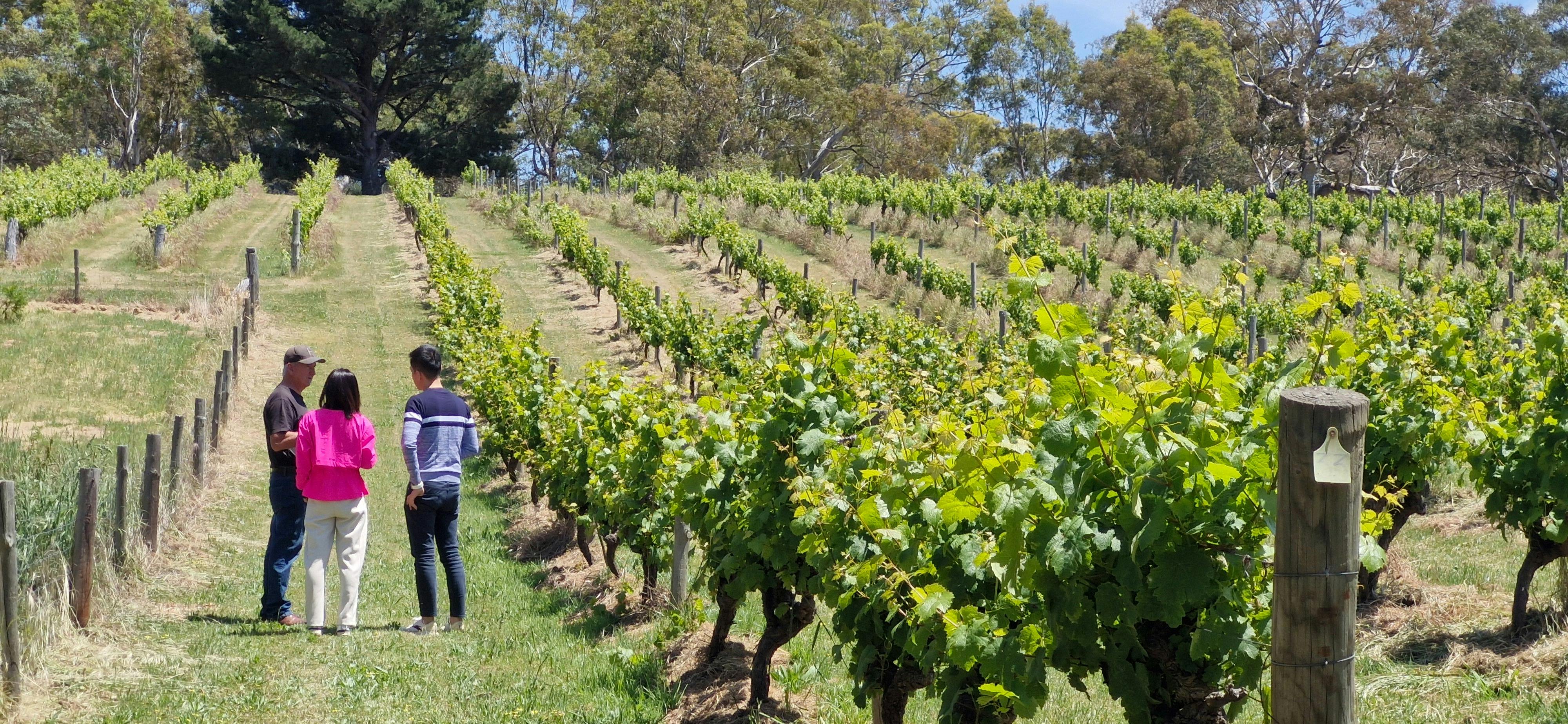 Colin on tour and tasting with guests