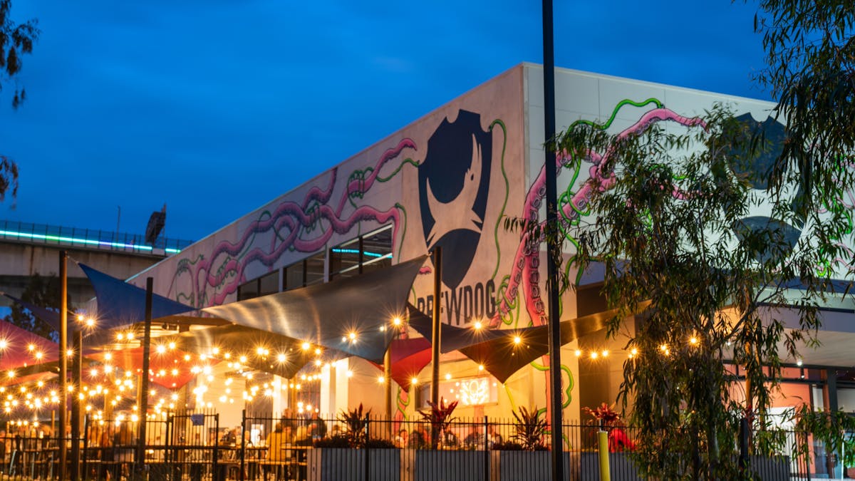 Night shot of DogTap's pation seating, lit with festoon lights