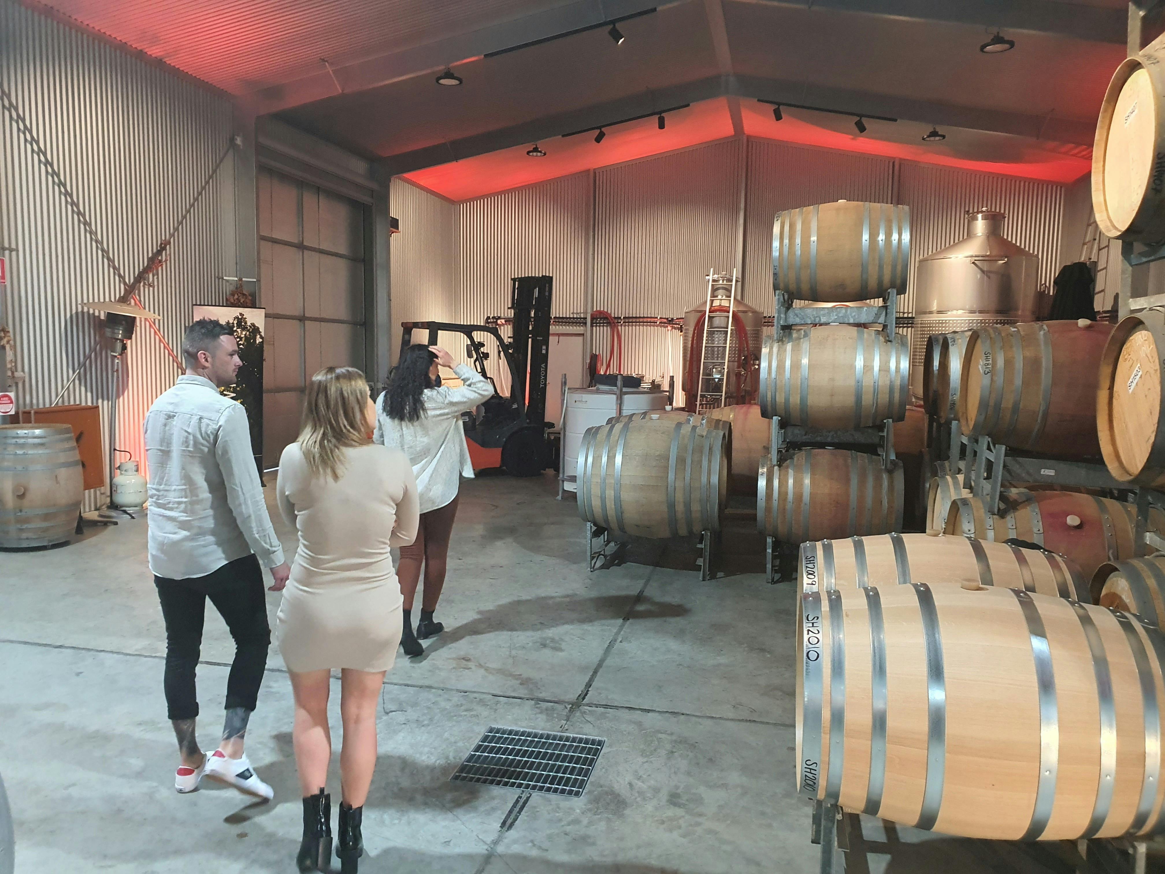 Cellar Door Tasting - McLaren Vale