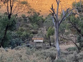 Pichi Richi Park walking trails