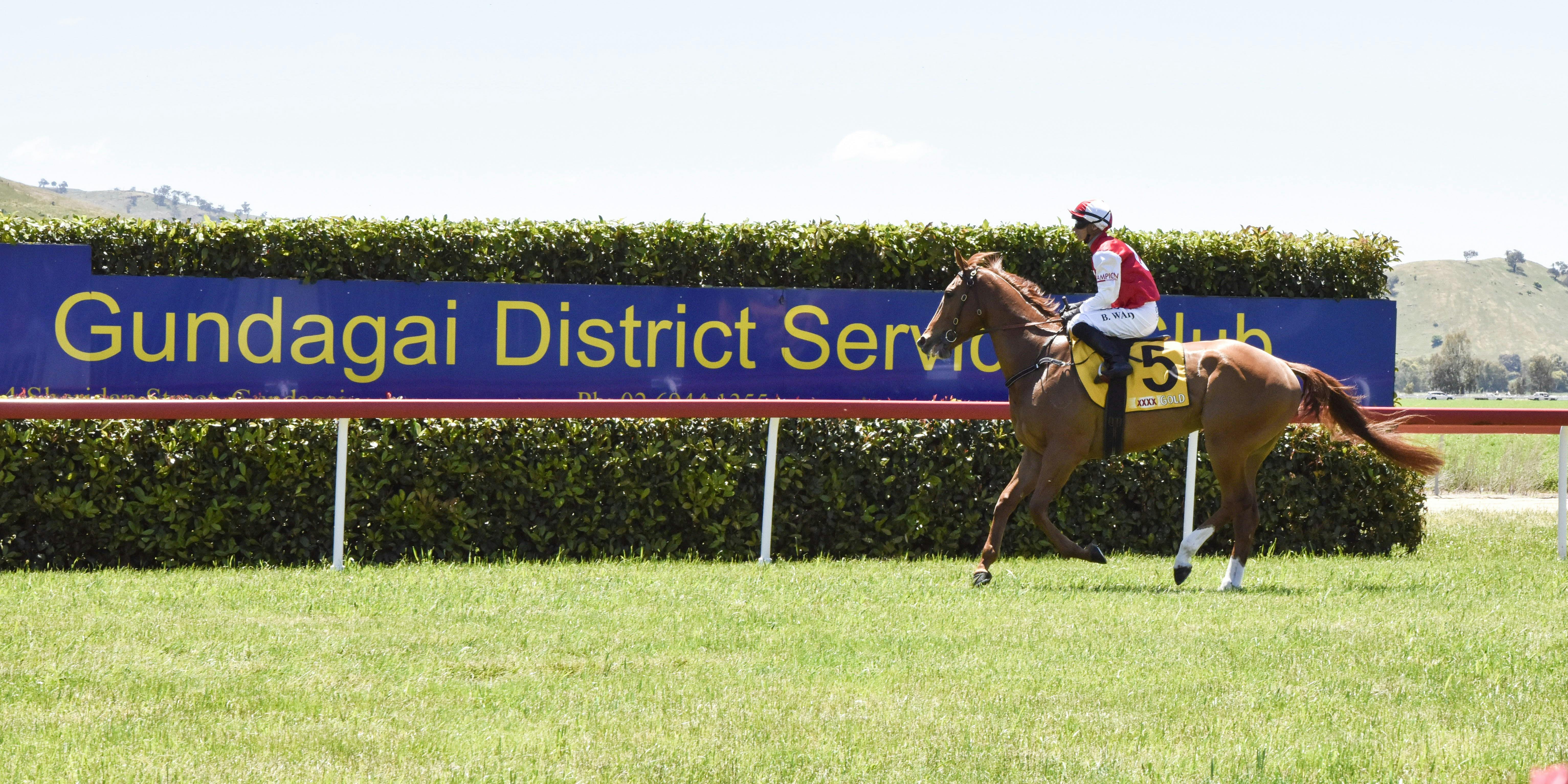 Rider on horse at finish line