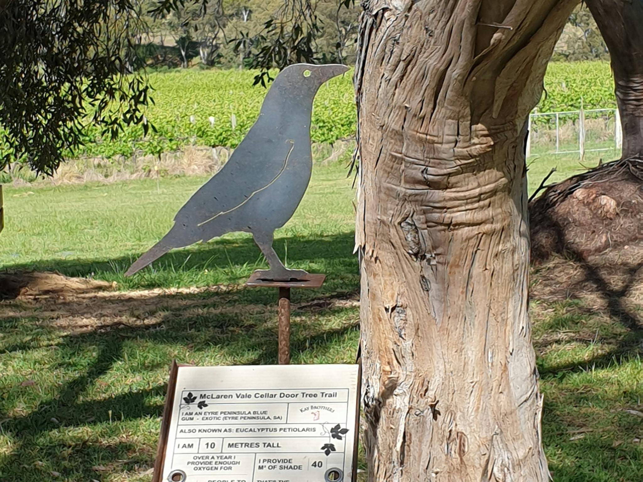 Kays Bros Tree Trail