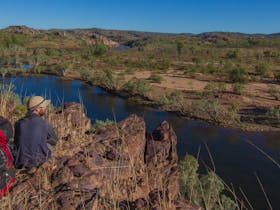 Gecko_Canoeing_and_Trekking_Nitmiluk