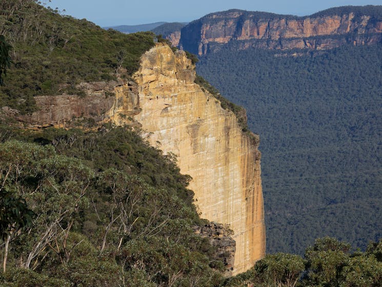 Narrow Neck Lookout