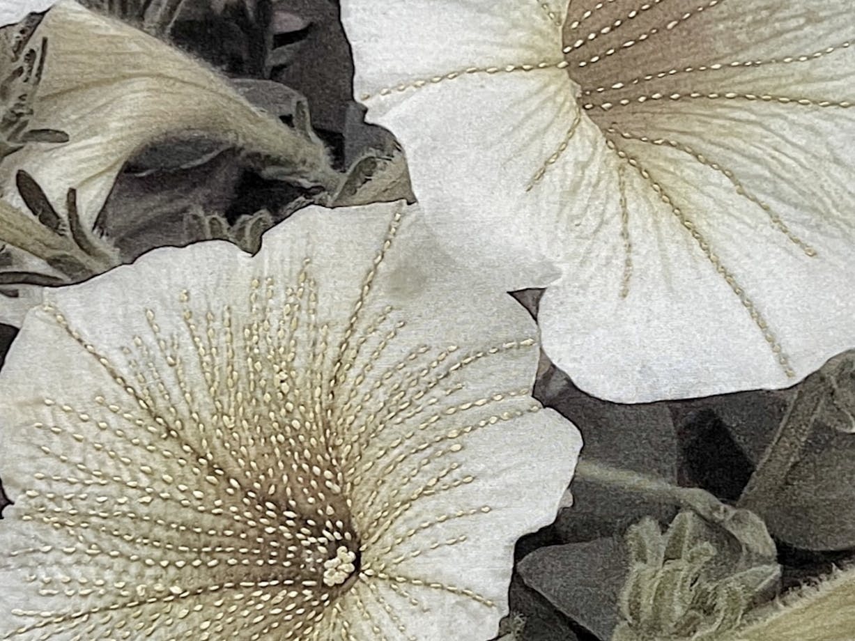 Mixed media work depicting a photograph of flowers with threaded petals.