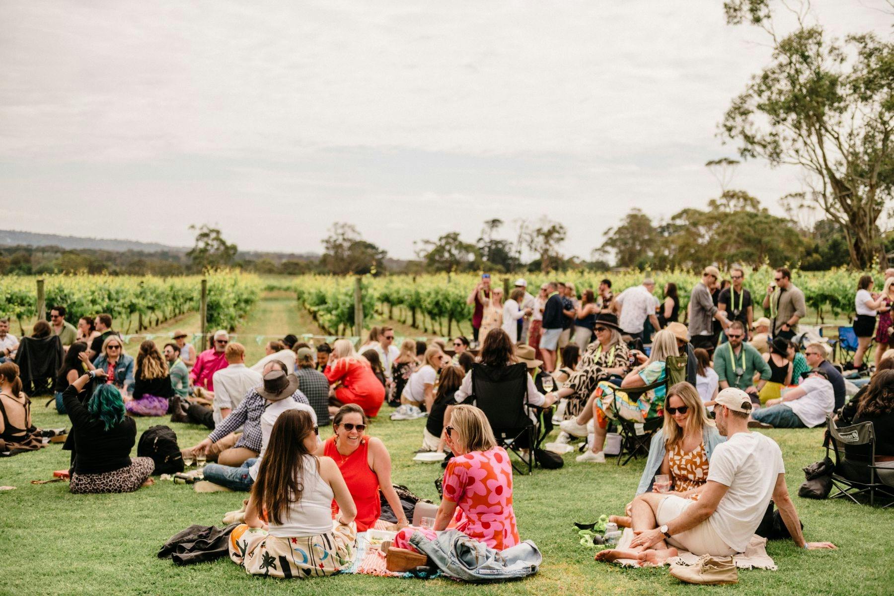 Peninsula VineHop Festival 2026