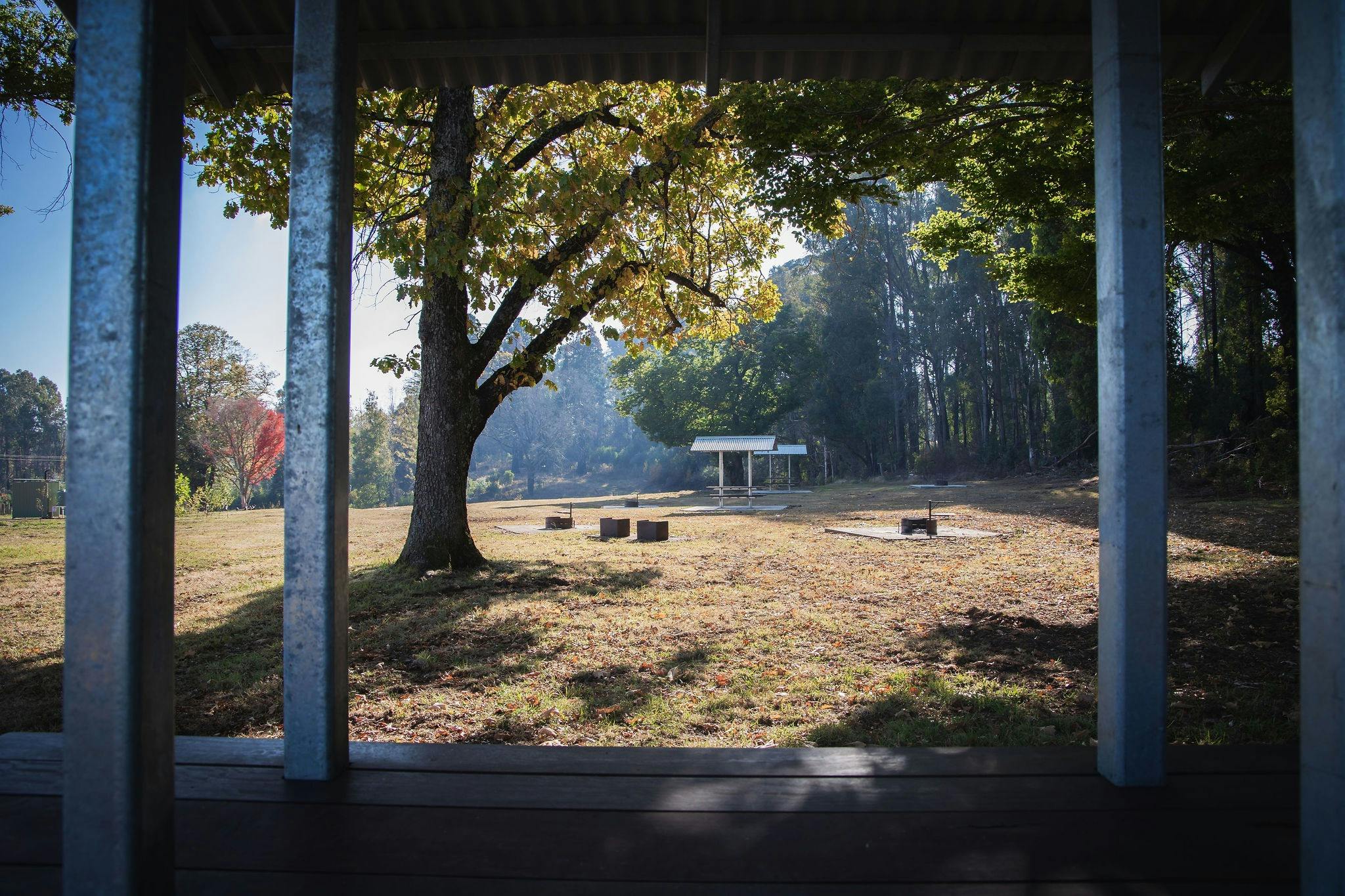 Looking from the picnic table at Lochinvar Rest Area