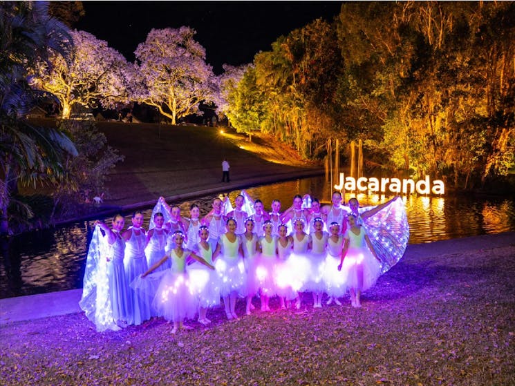 Jacaranda tree lit up with pond and dancers