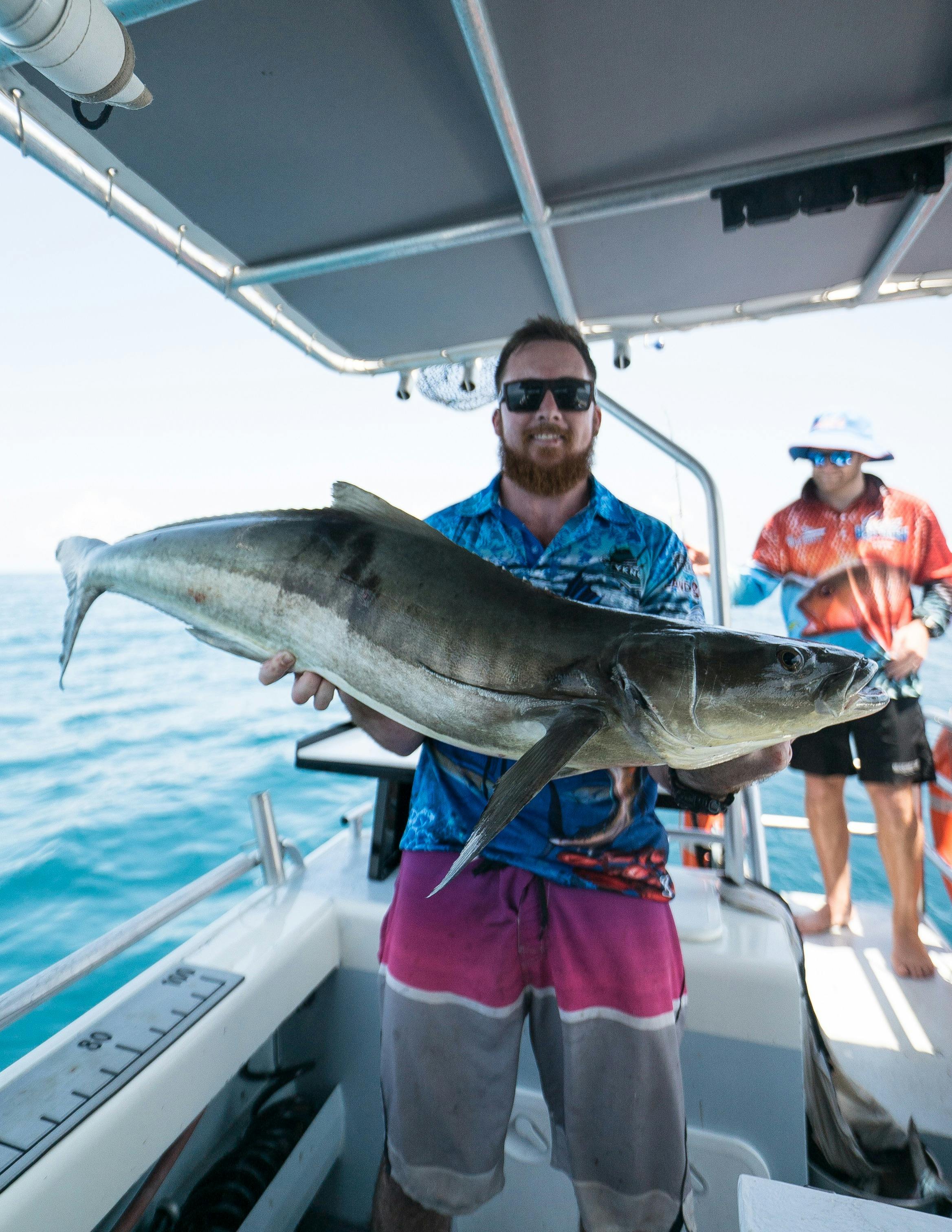 Cobia