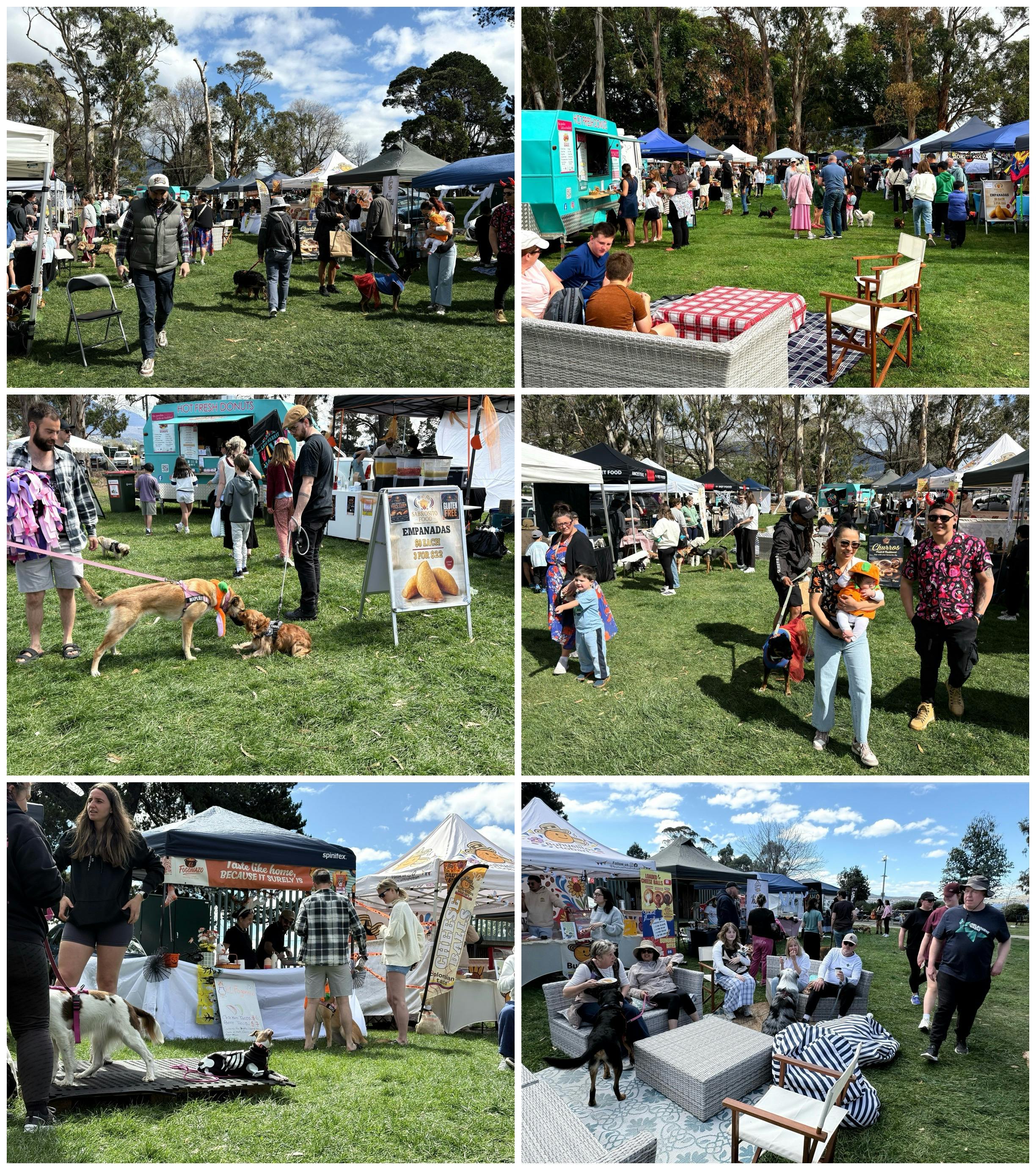 A grid of six photos from the Van Diemen Pet Expo at Long Beach Reserve: visitors and dogs walking b