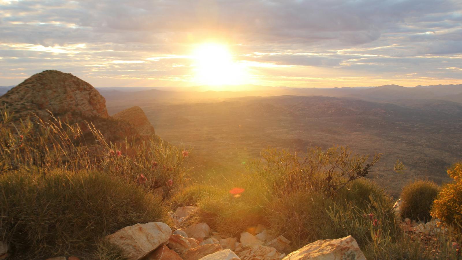 Along the Larapinta Trail