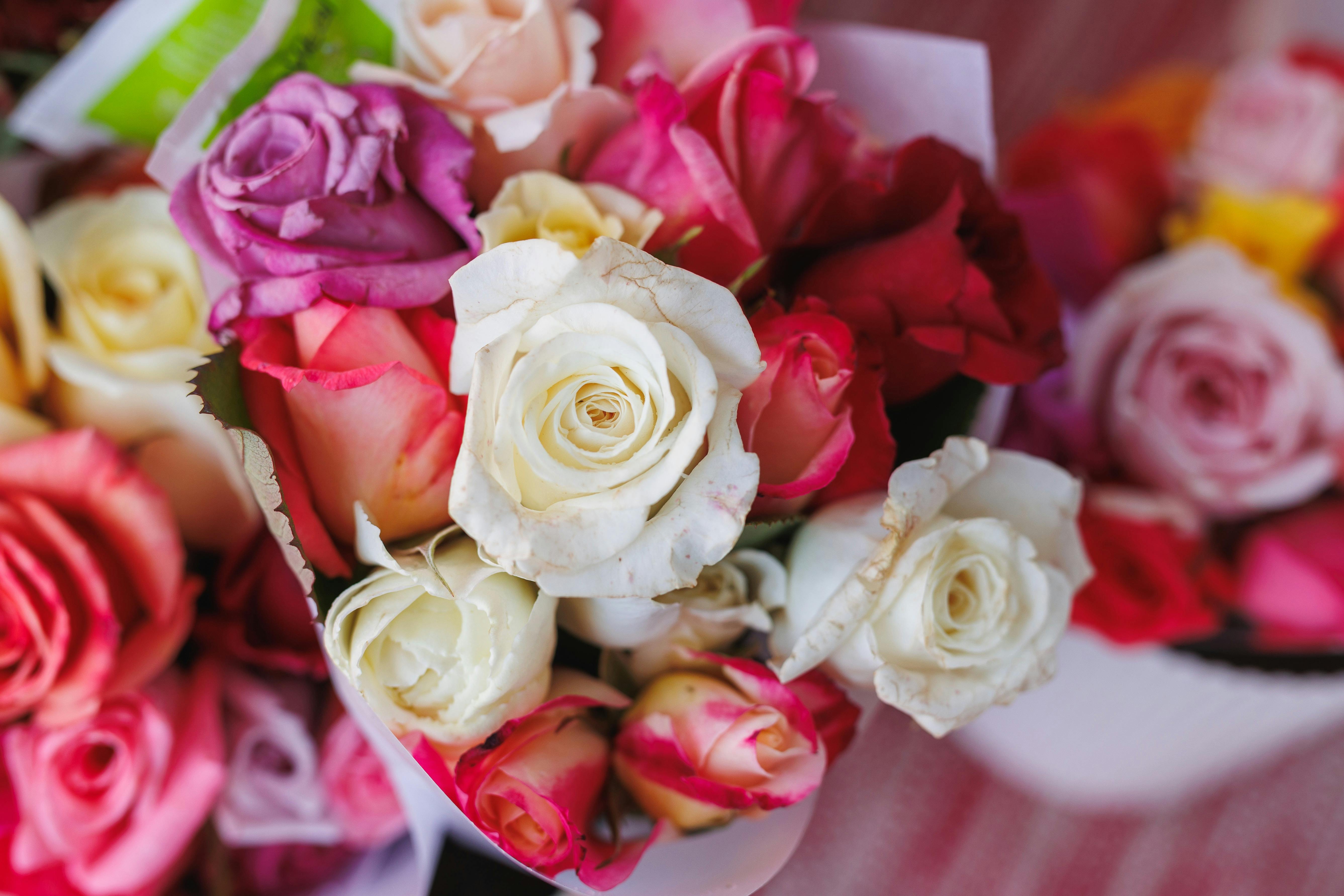 Fresh Flowers from Benefields Roses