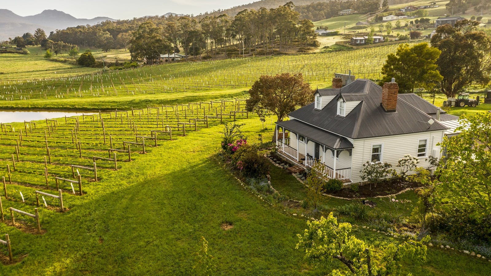 Kate Hill Wines Aerial