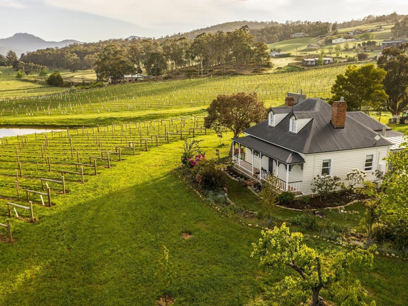 Kate Hill Wines Vineyard Tasmania Cellar door