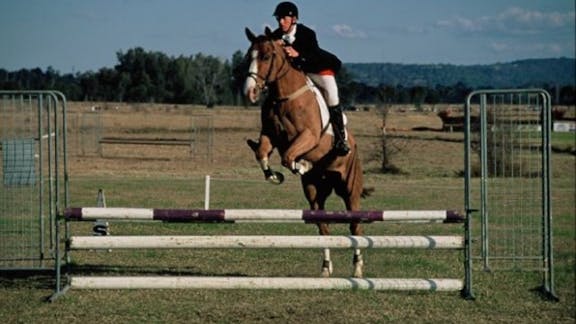 Camden Bicentennial Equestrian Park