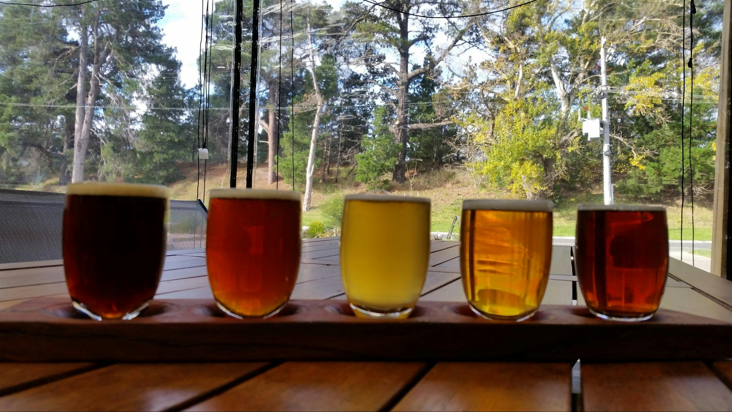 Beer with a view