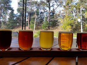 Cubby Haus Brewing - Brewery and Bar