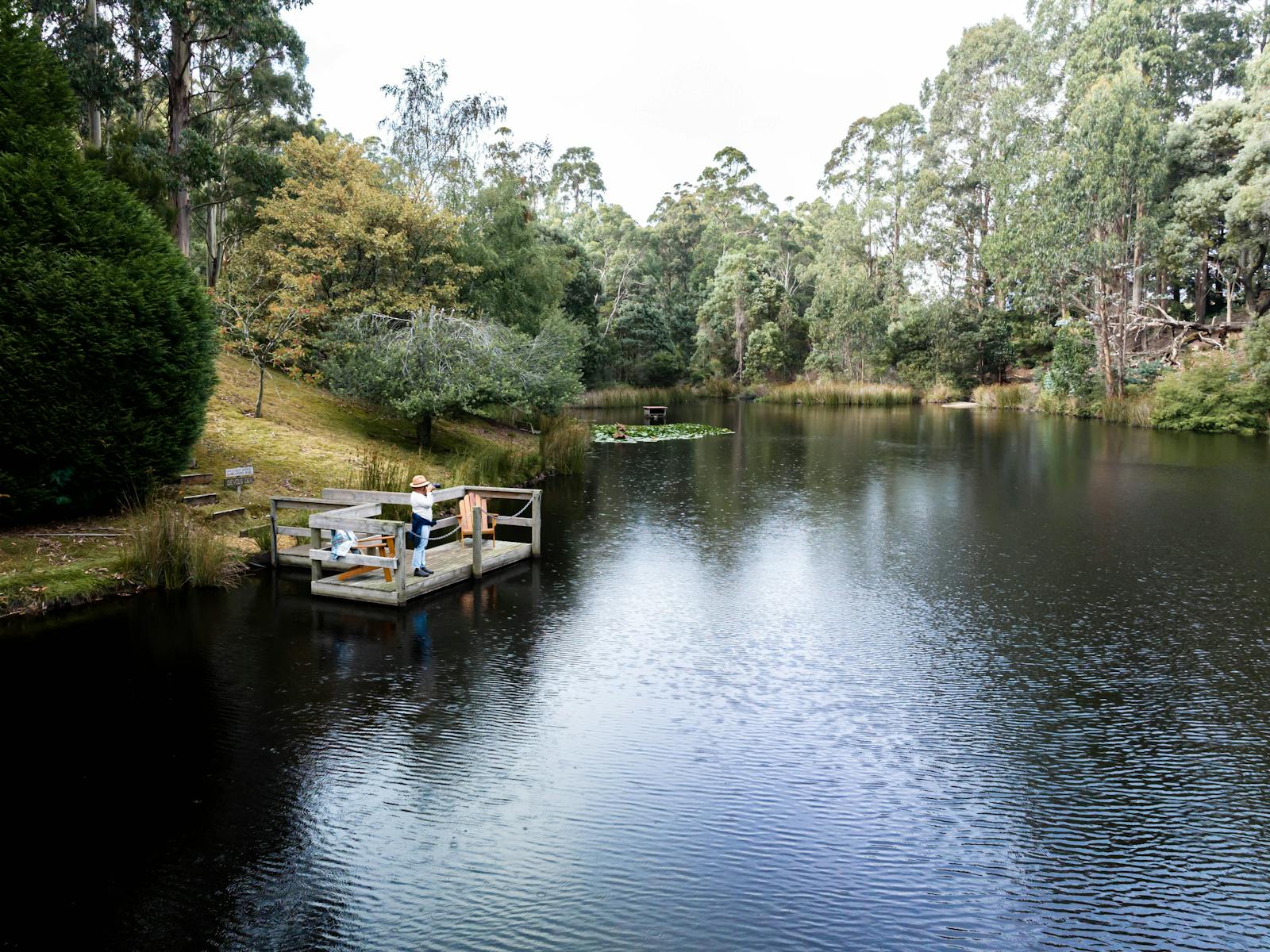 Take a stroll around our lake and spot our resident flora and fauna such as platypus.