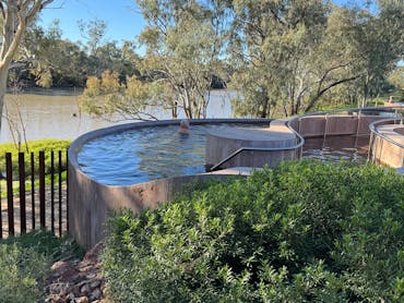 Geothermal bathing Tour Cunnamulla Club Boutique Hotel Geothermal bathing Tour Cunnamulla Club Boutique Hotel