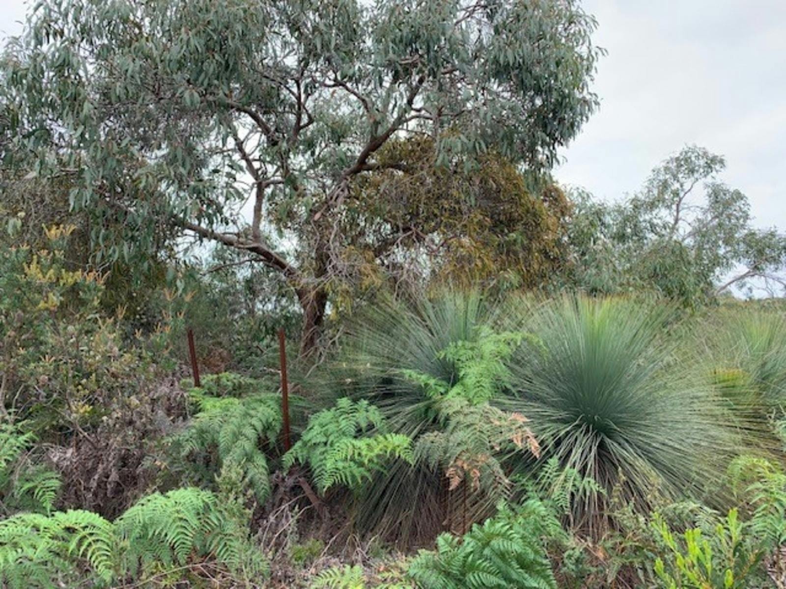 Bat's Ridge- Parks Vic