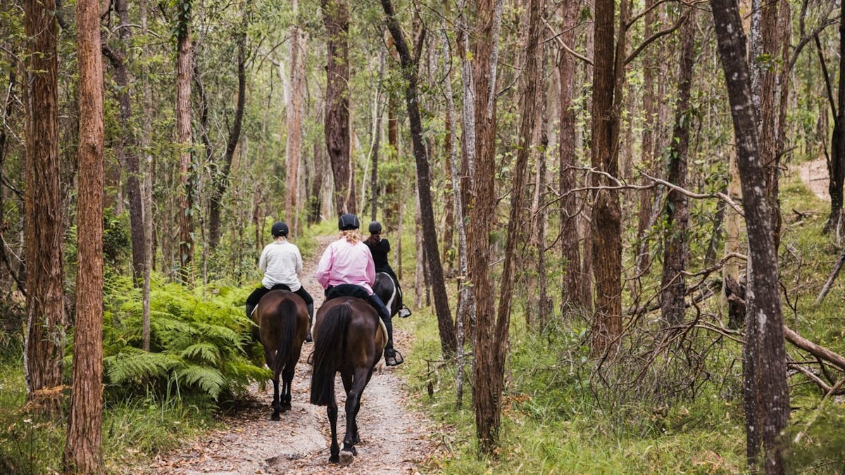 Three people riding horses through bush trails at Don and Christine Burnett Conservation Area