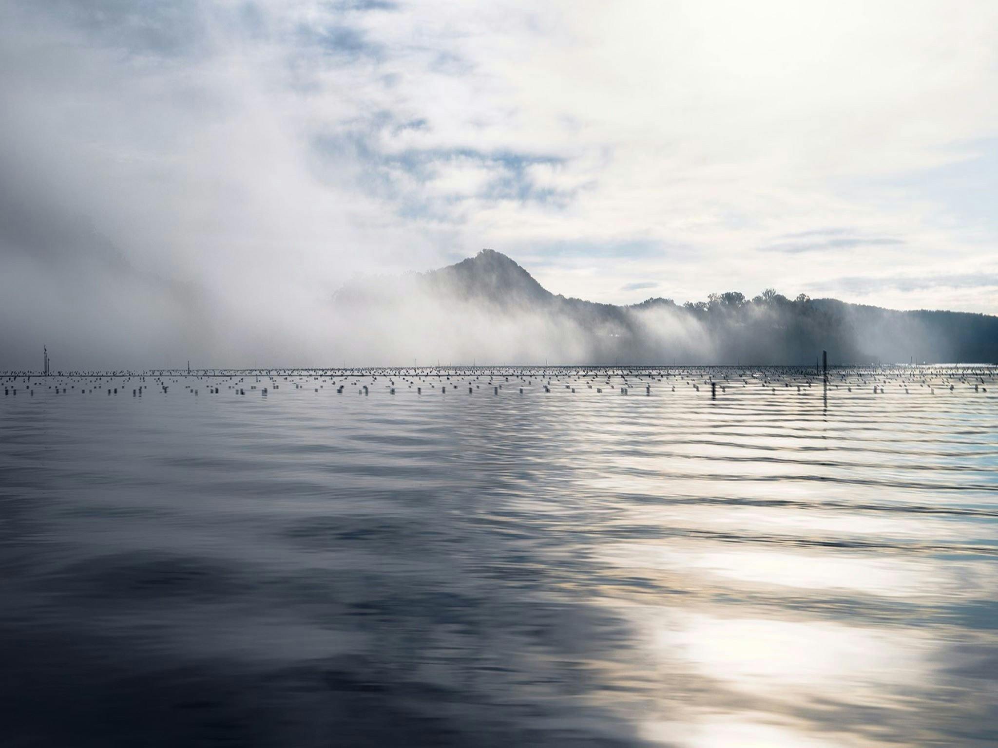 Sydney Oyster Farm Tours