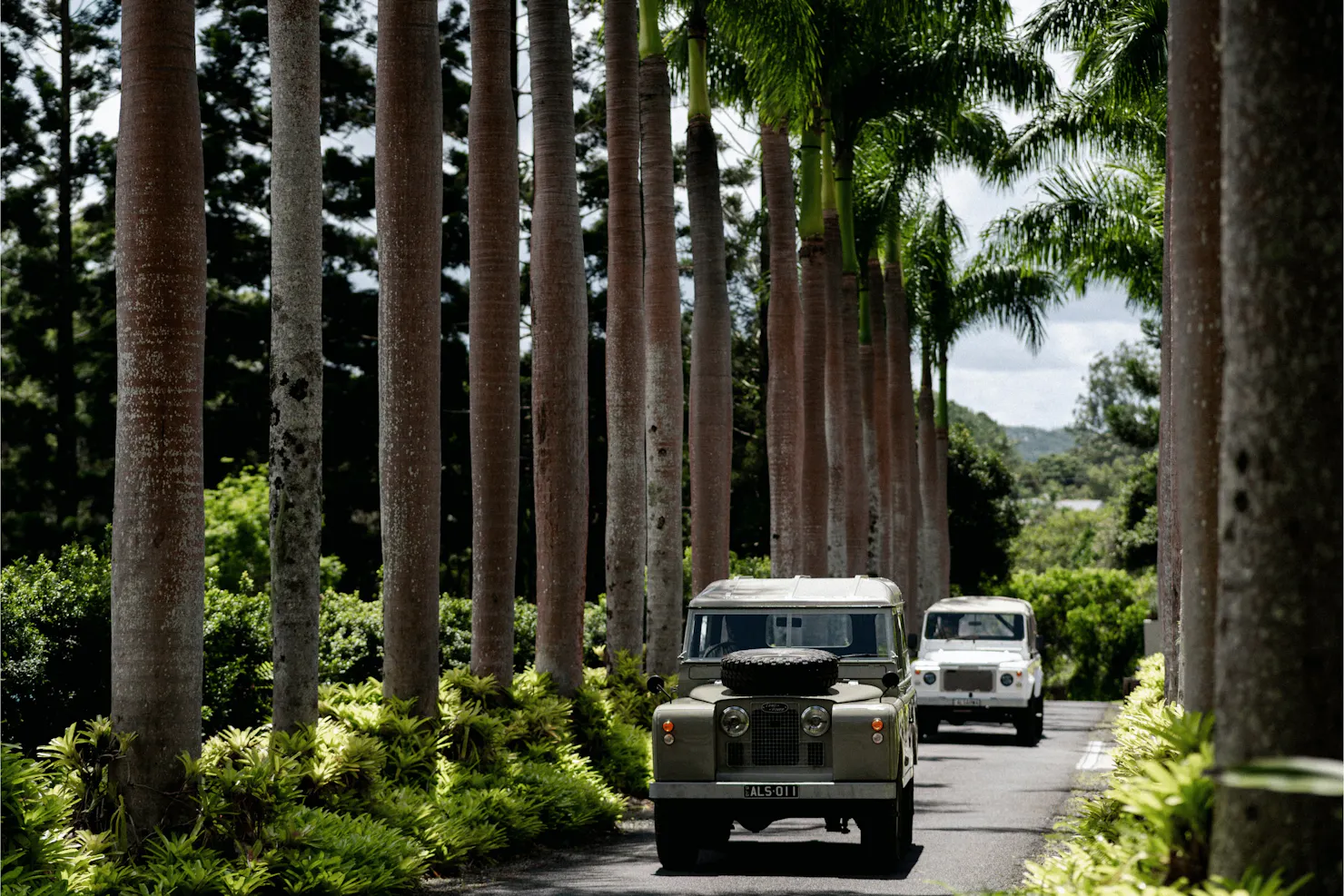 Alsahwa Estate