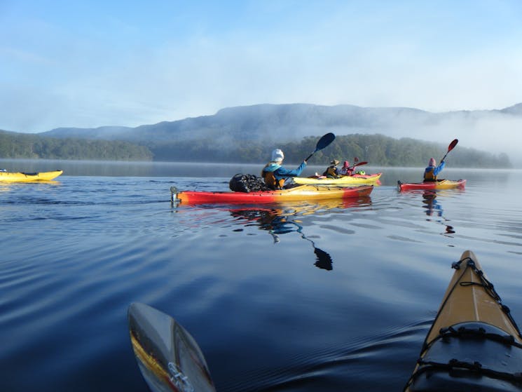 Kangaroo Valley Safaris camping and kayaking