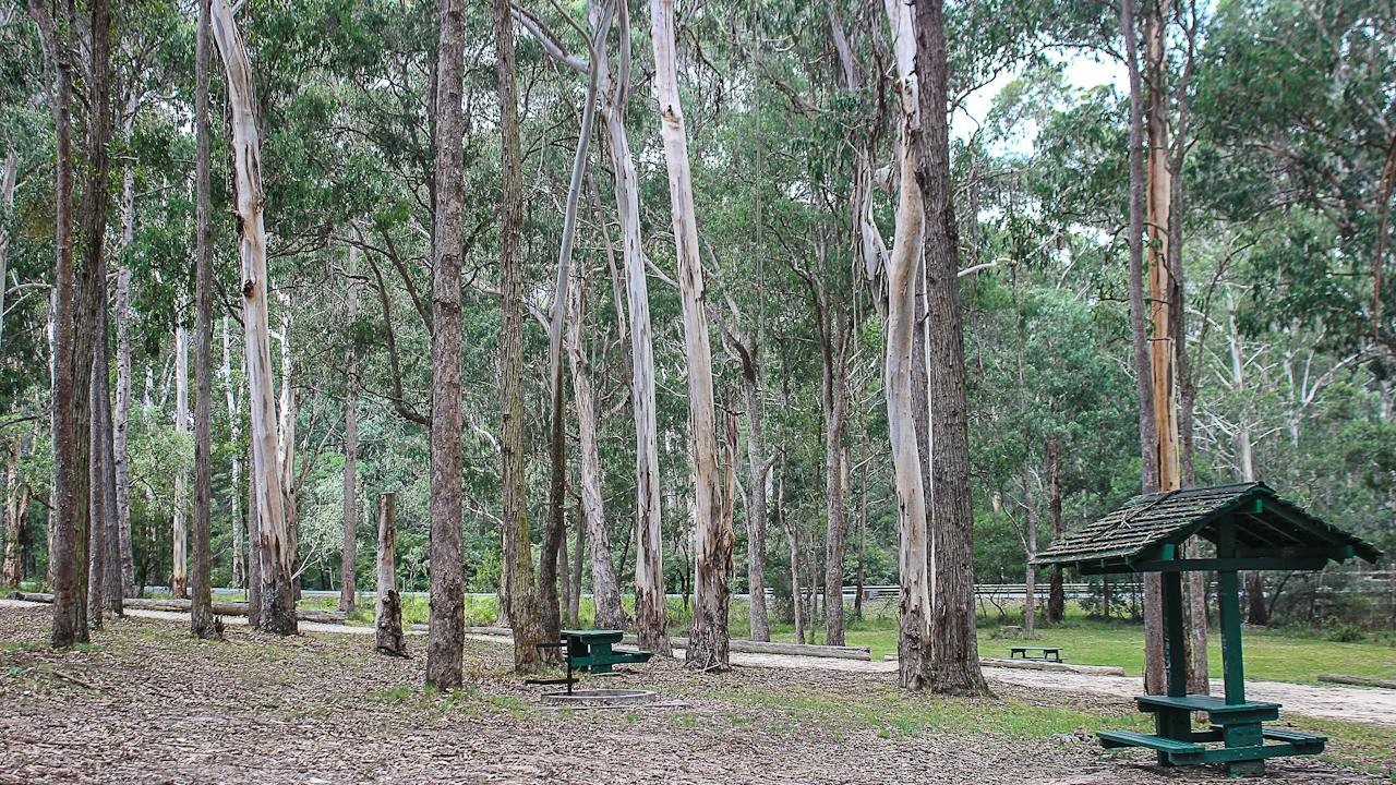 Scrubby Creek Rest Area