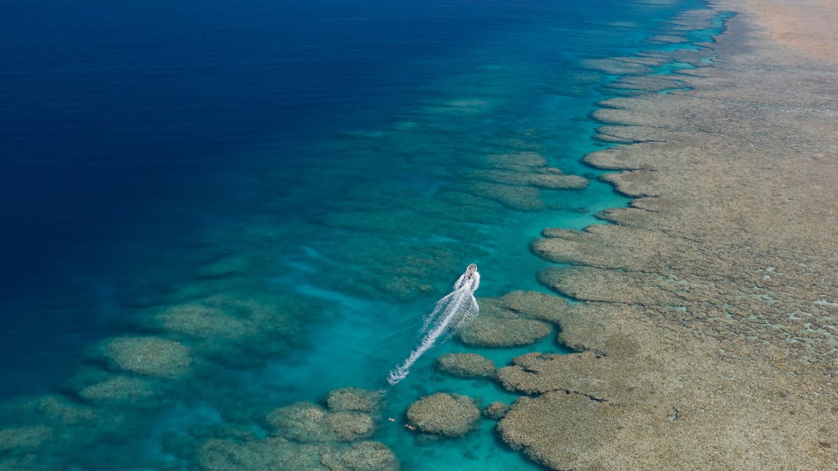 reef