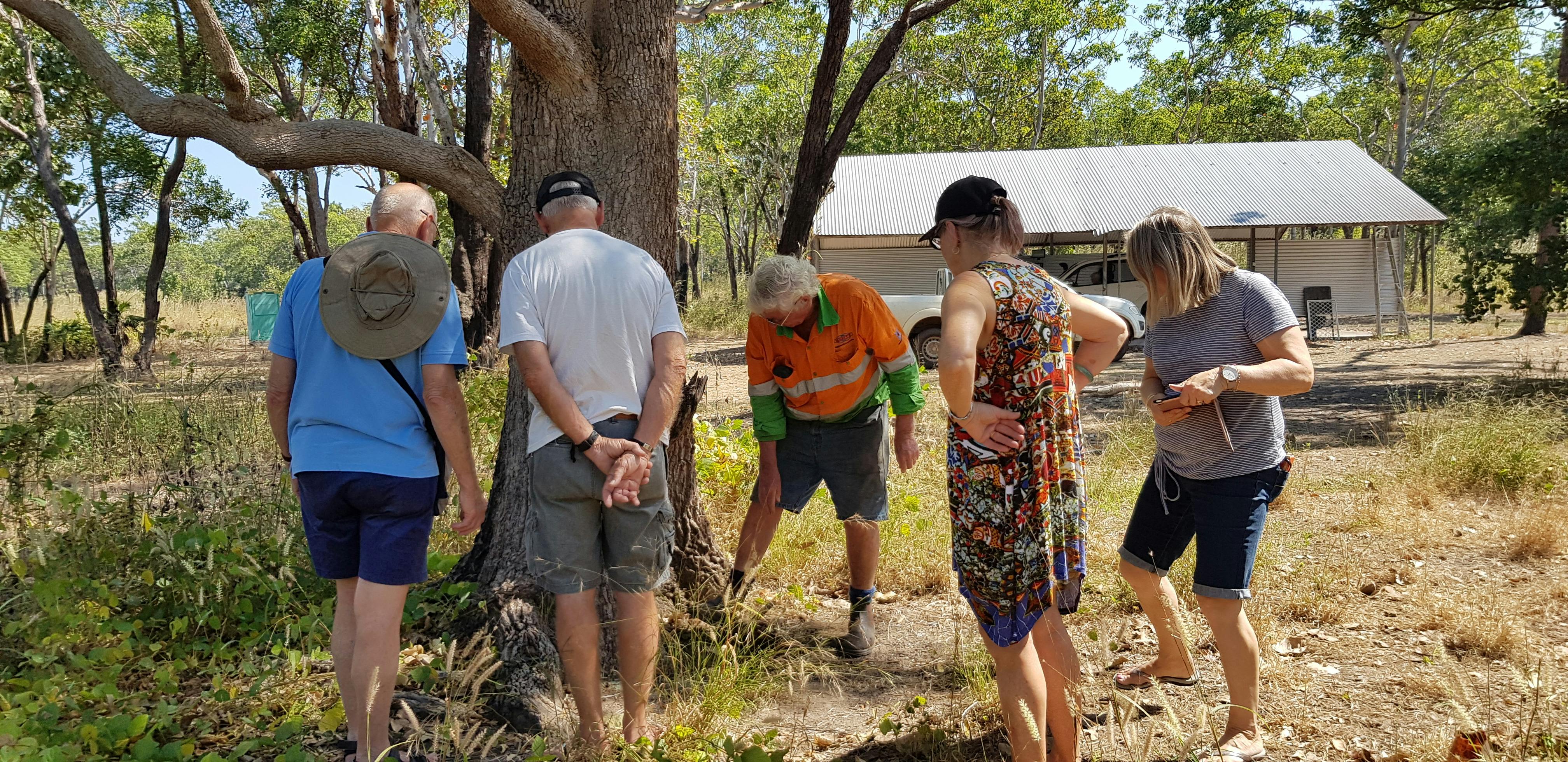 An Extended Military History Tour of Darwin, Batchelor, Adelaide River and Coomalie Airfield
