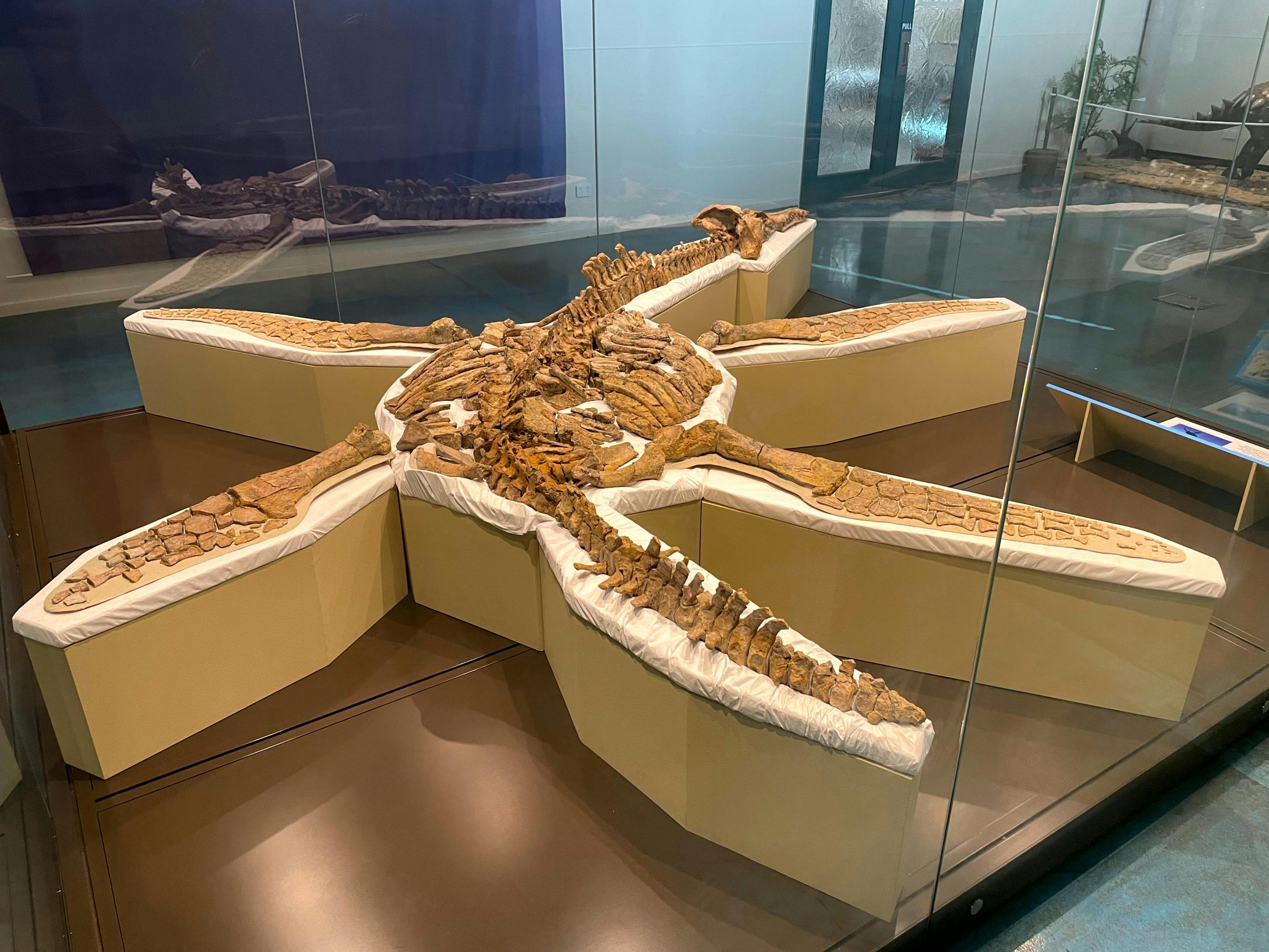 Australia's Dinosaur Trail - Richmond