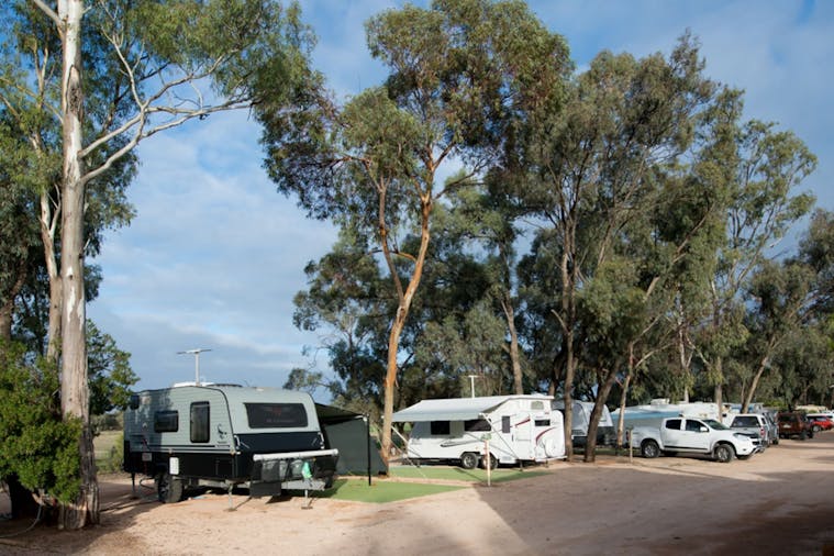 Paringa Caravan Park, Campsite - Paringa, Accommodation | SA Tourism