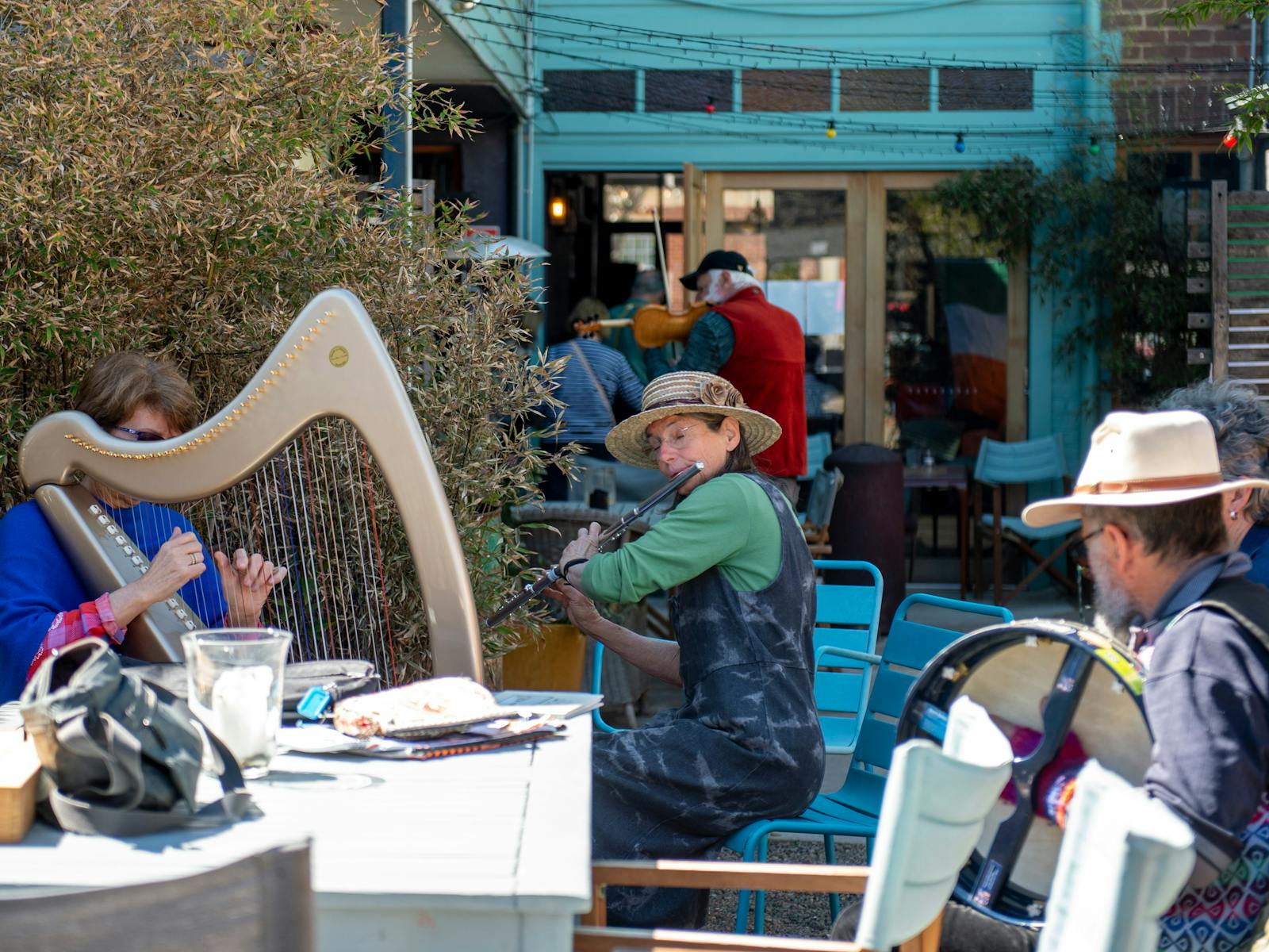 Image for Irish & Celtic Music Festival