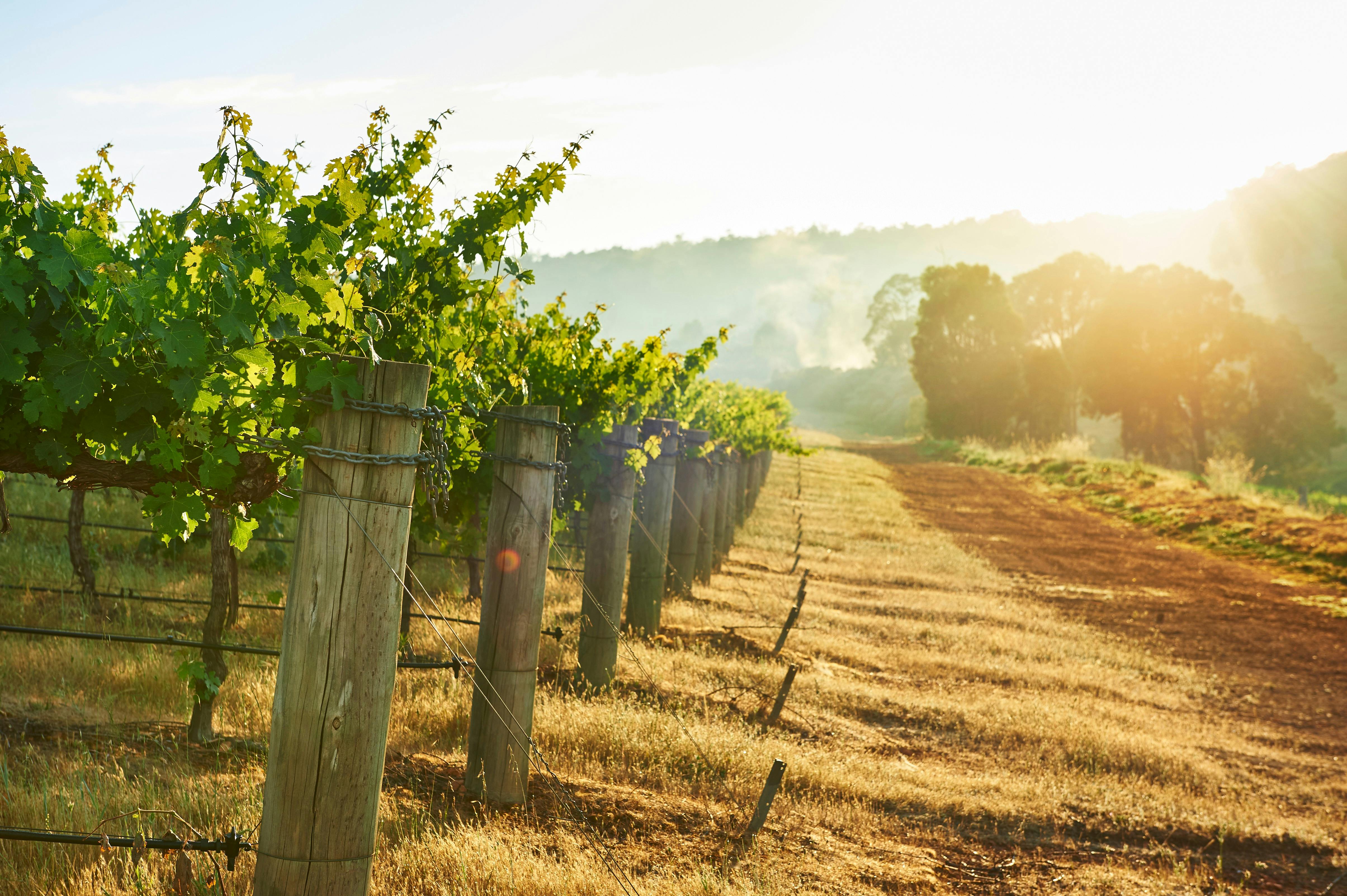 Millbrook Winery