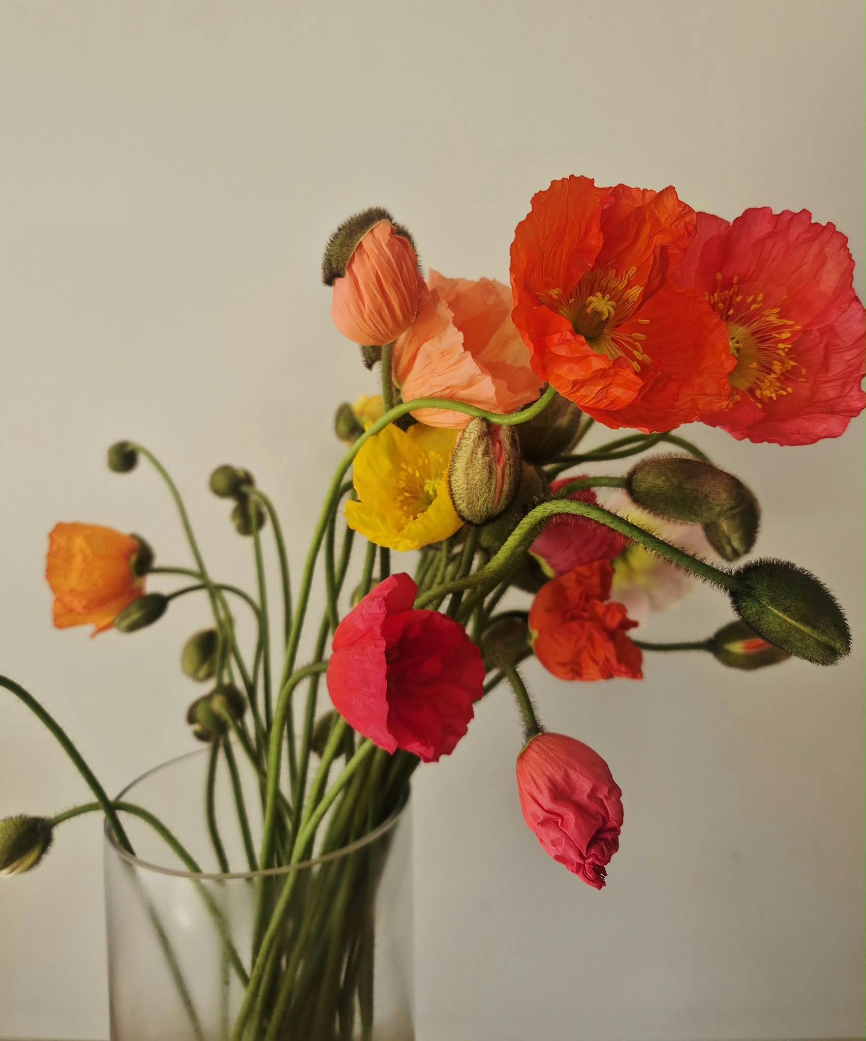 Blooms, Bees & Blessings