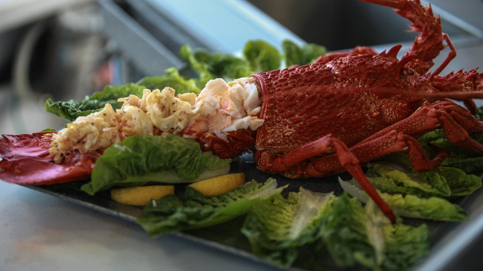 Cooked rock lobster. Deep to Dish offering