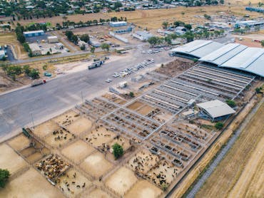 Great aerial image of the saleyards. Great aerial image of the saleyards.
