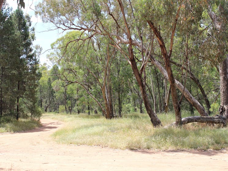 Bumberry Dam