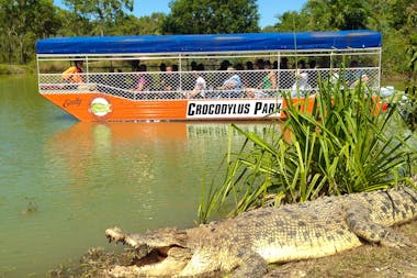 Croc Boat Cruise